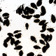 Illustration for article titled Shooting Challenge: Bugs 3